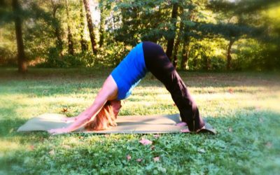 Ashtanga Yoga: Transformation through Permanence