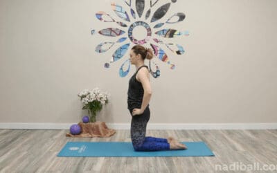 Shoulders, Core & Thighs